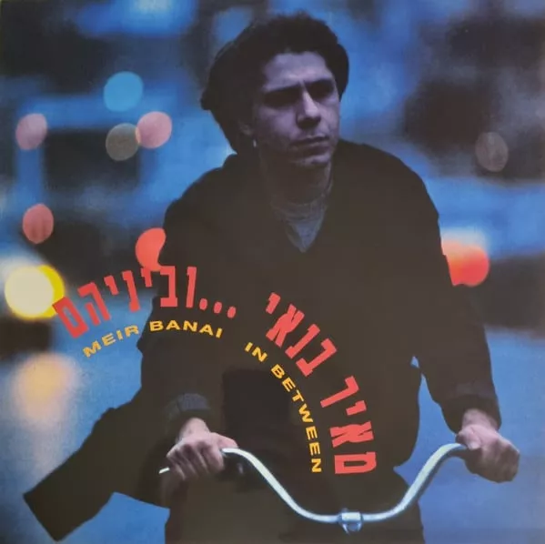 מאיר בנאי - ובניהם