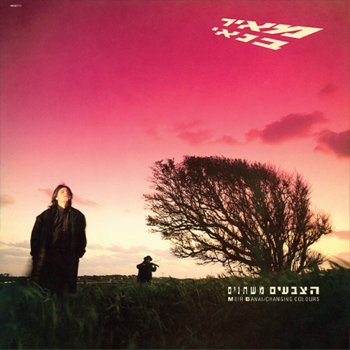 מאיר בנאי - צבעים משתנים