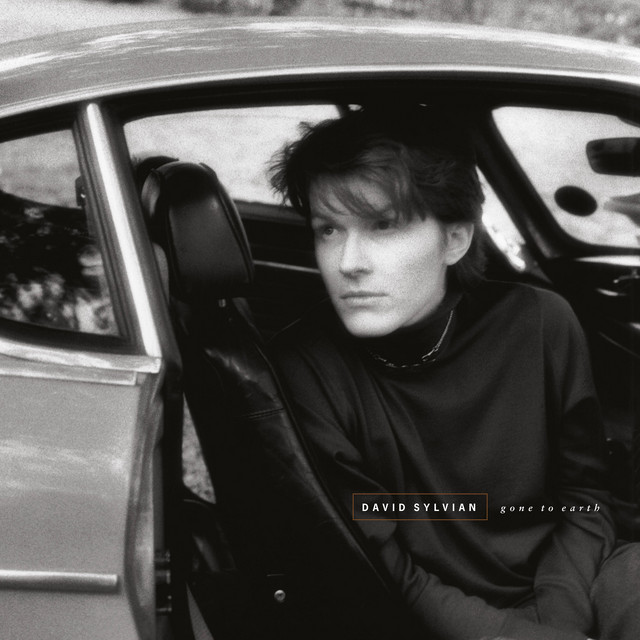 David Sylvian – Gone To Earth