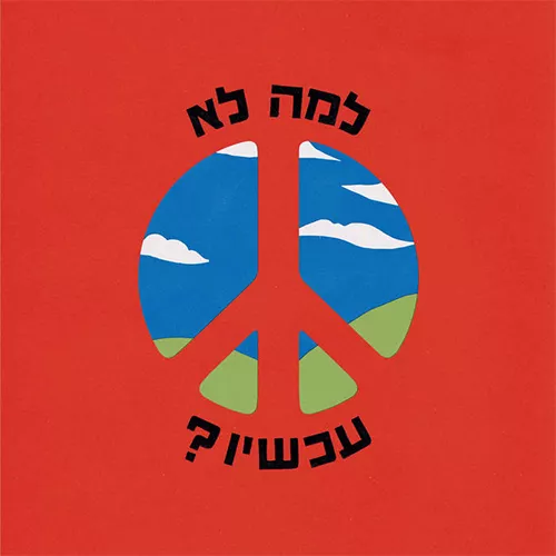 עוזי נבון  - ולמה לא עכשיו