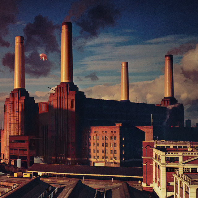 Pink Floyd – Animals
