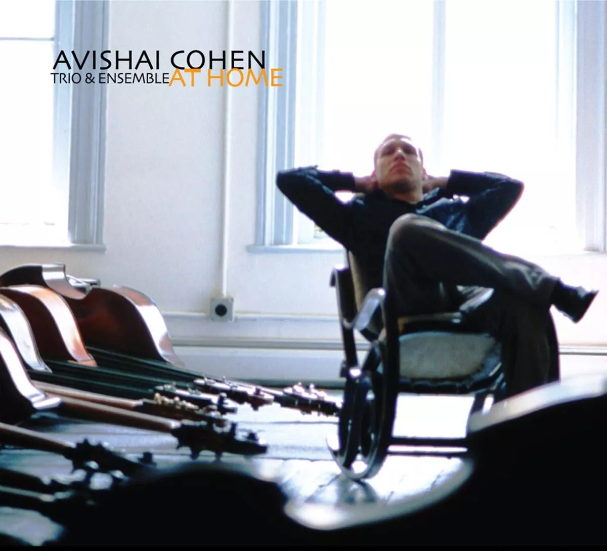 Avishi Cohen - At Home