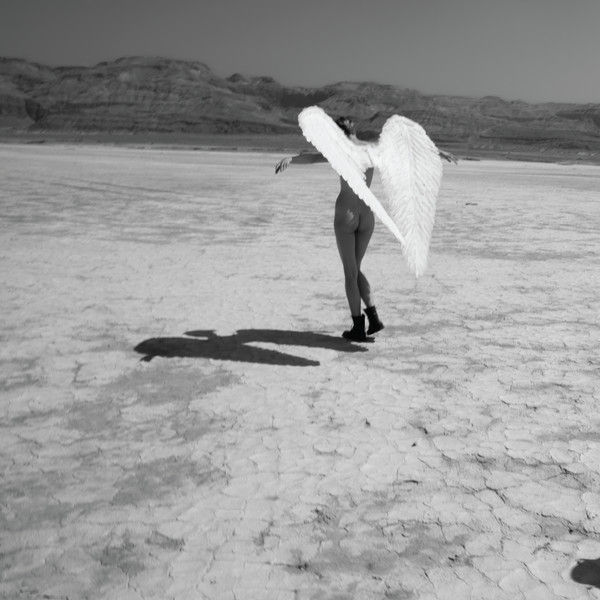 רמי פורטיס - תולדות הכותרת