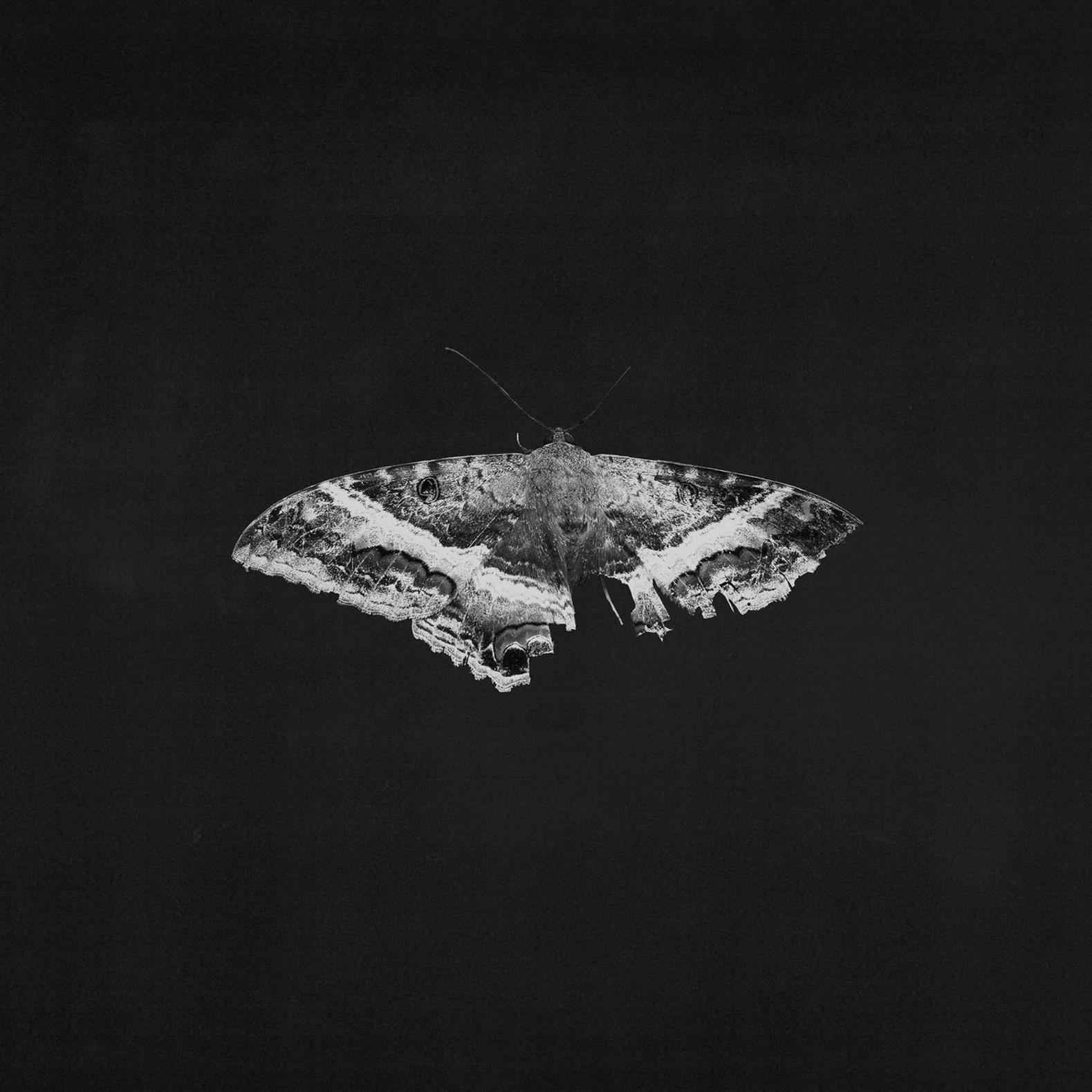 Kendrick Lamar – To Pimp A Butterfly