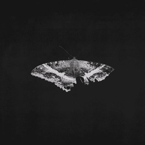 Kendrick Lamar – To Pimp A Butterfly