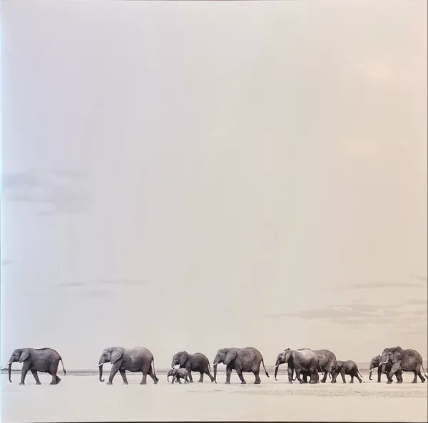 Dave Matthews Band – Where Are You Going - The Singles