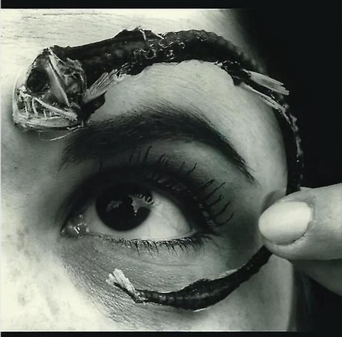 Mr. Bungle – Disco Volante