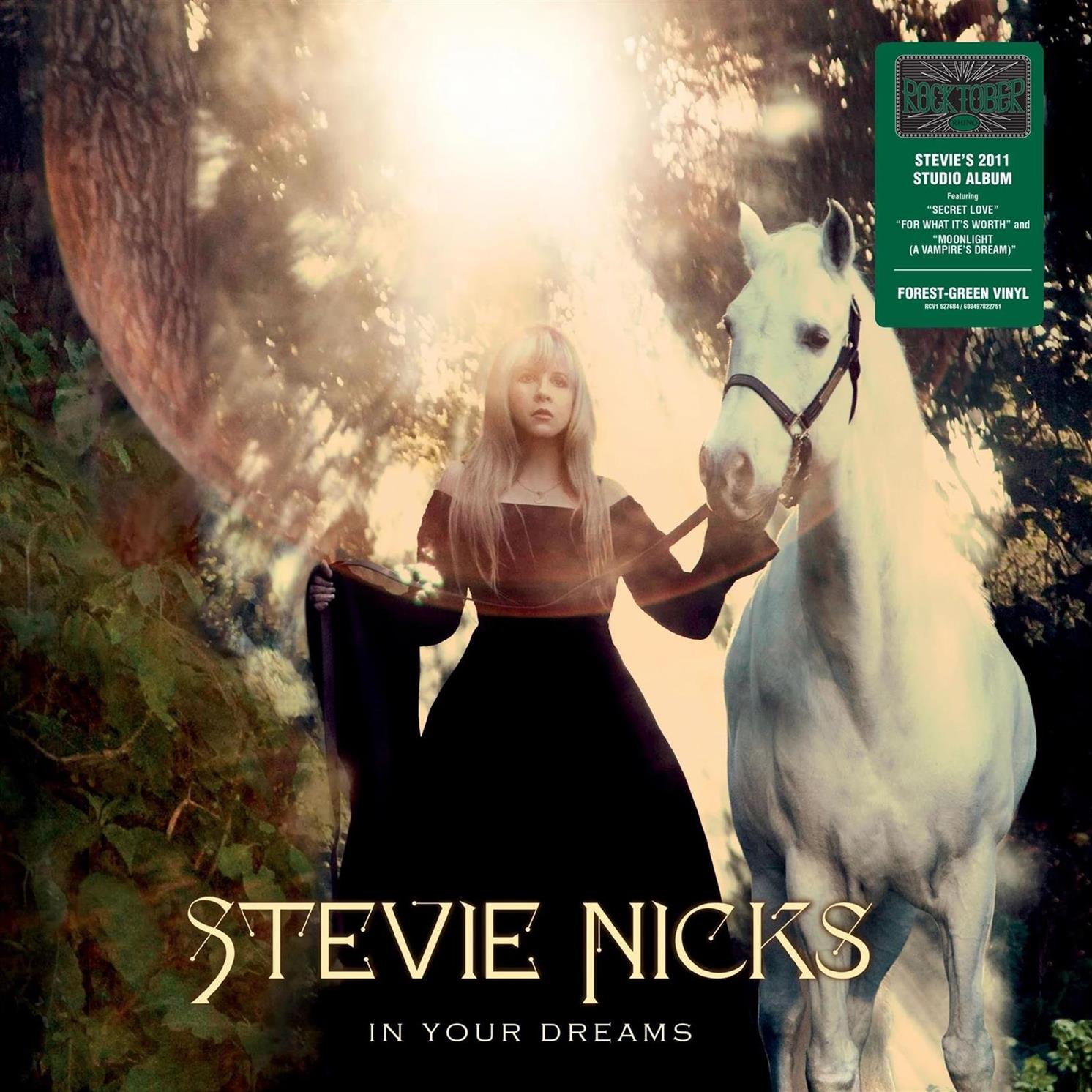 Stevie Nicks – In Your Dreams