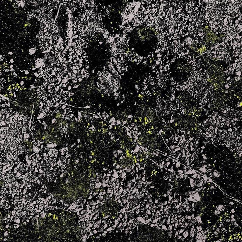 King Gizzard And The Lizard Wizard – Infest The Rats Nest (Live At Red Rocks 2022)