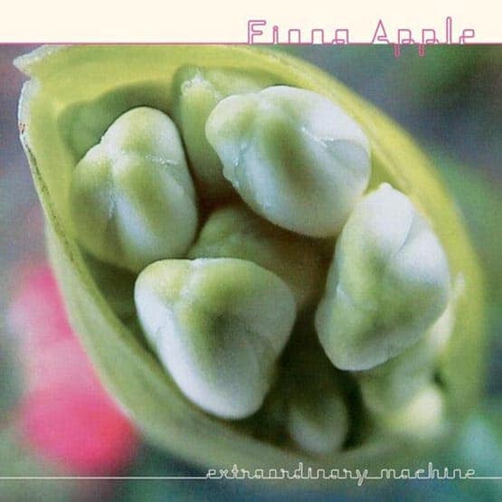 Fiona Apple – Extraordinary Machine
