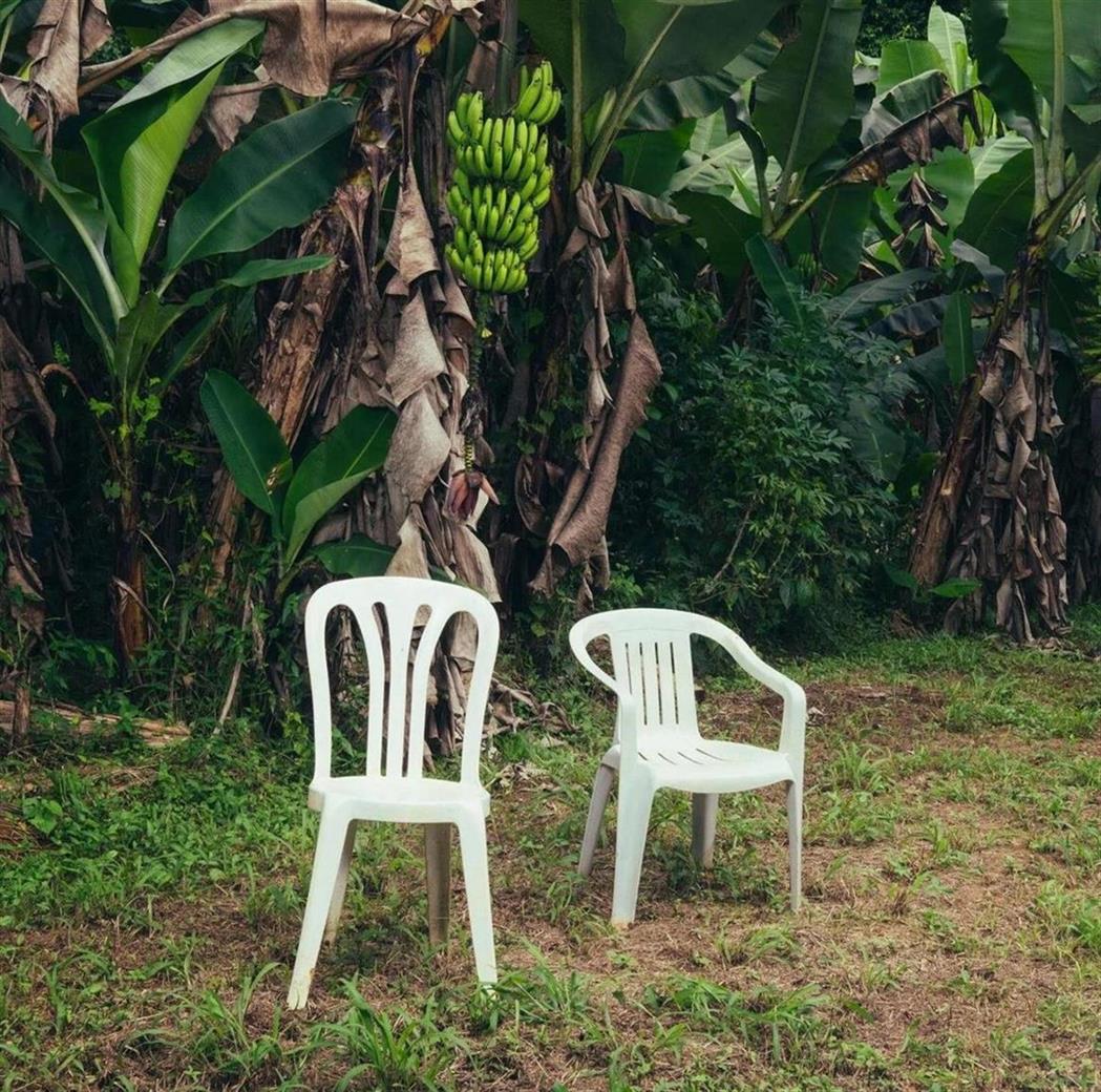 Bad Bunny – Deb? Tirar M?s Fotos