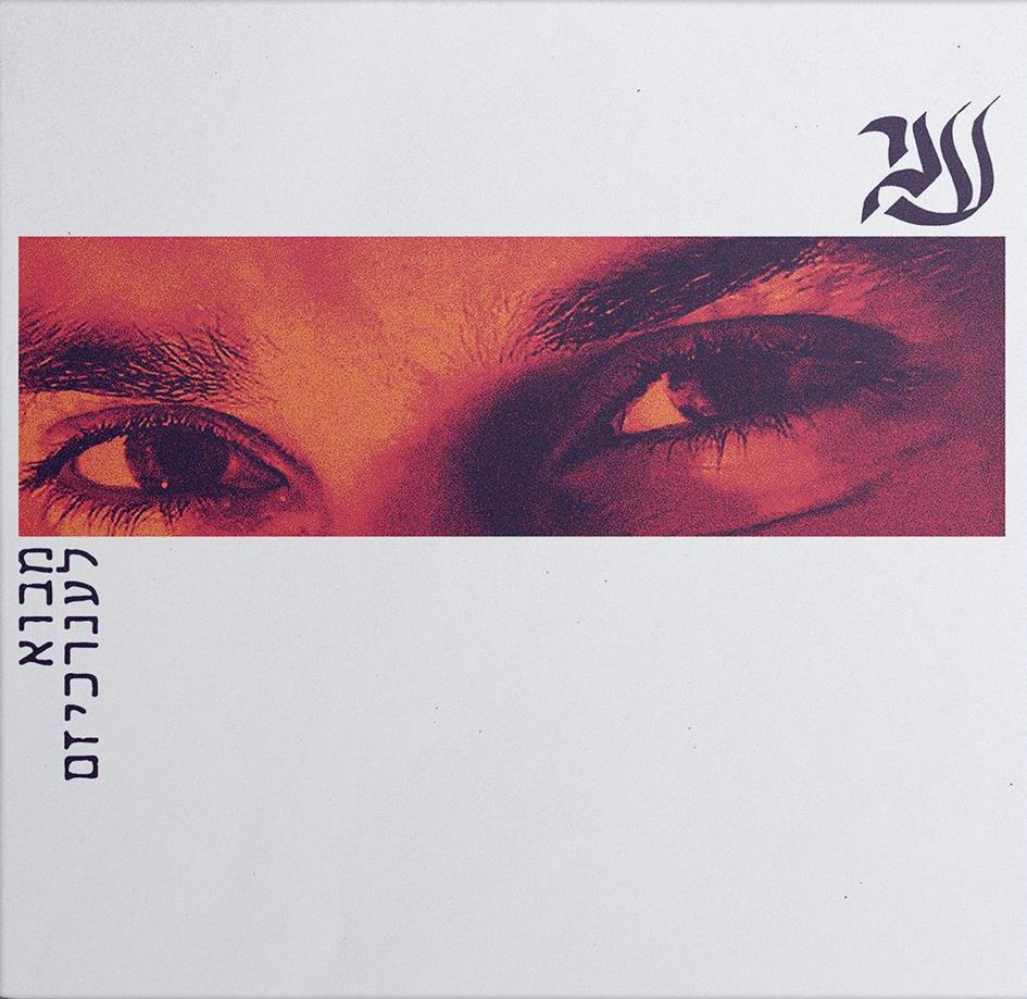 ענר שפירא - מבוא לענרכיזם