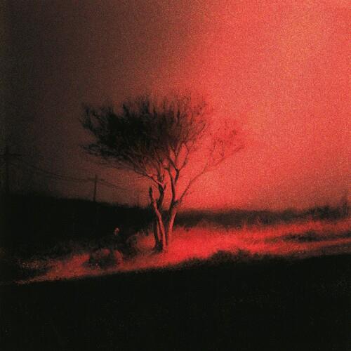 Joji – Piss In The Wind