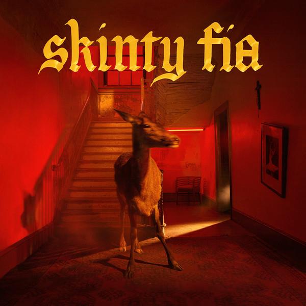 Fontaines D.C. – Skinty Fia