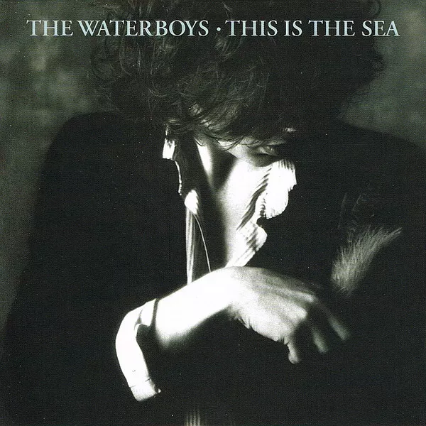 The Waterboys – This Is The Sea