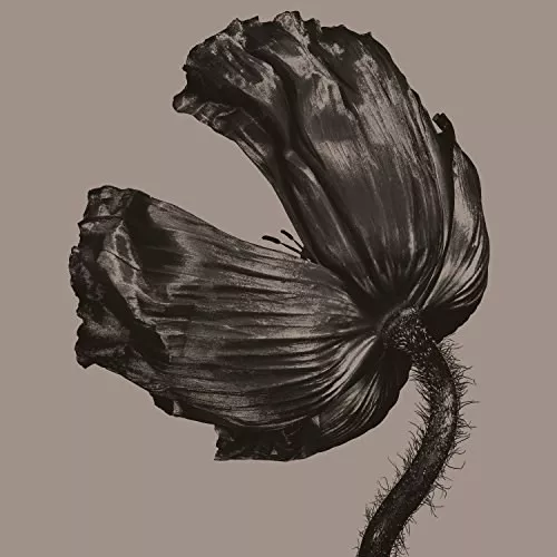 Pet Shop Boys – Release