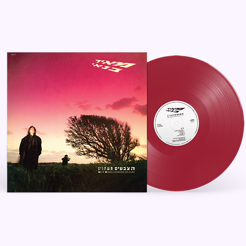 מאיר בנאי - צבעים משתנים