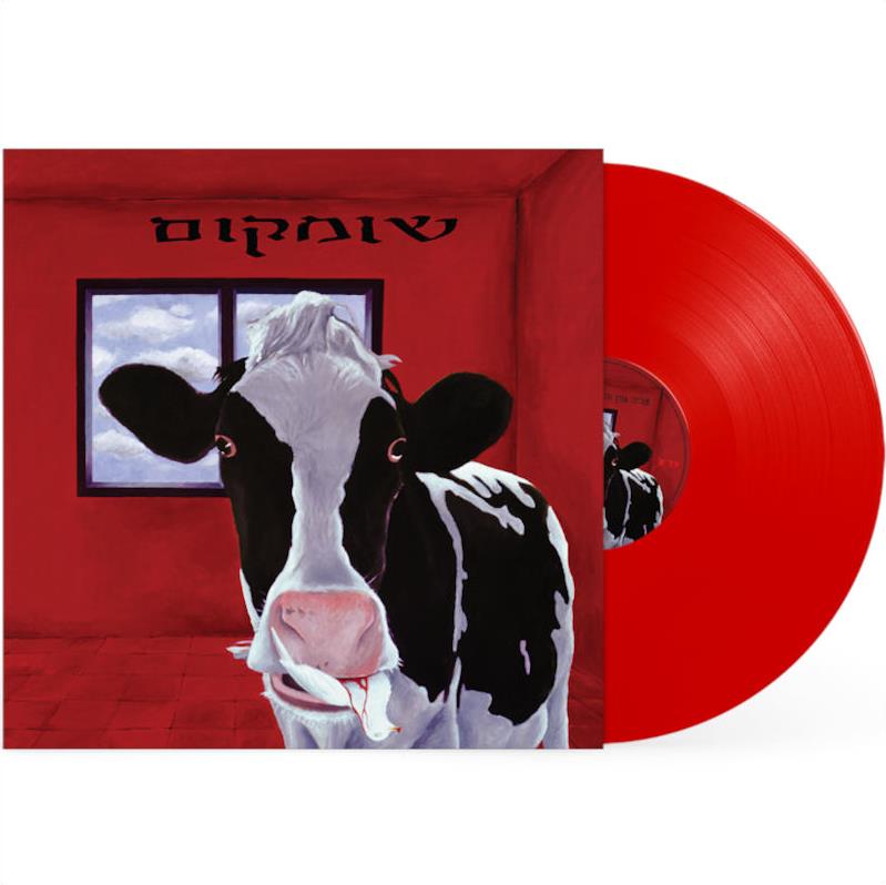 אביב גפן  - שומקום