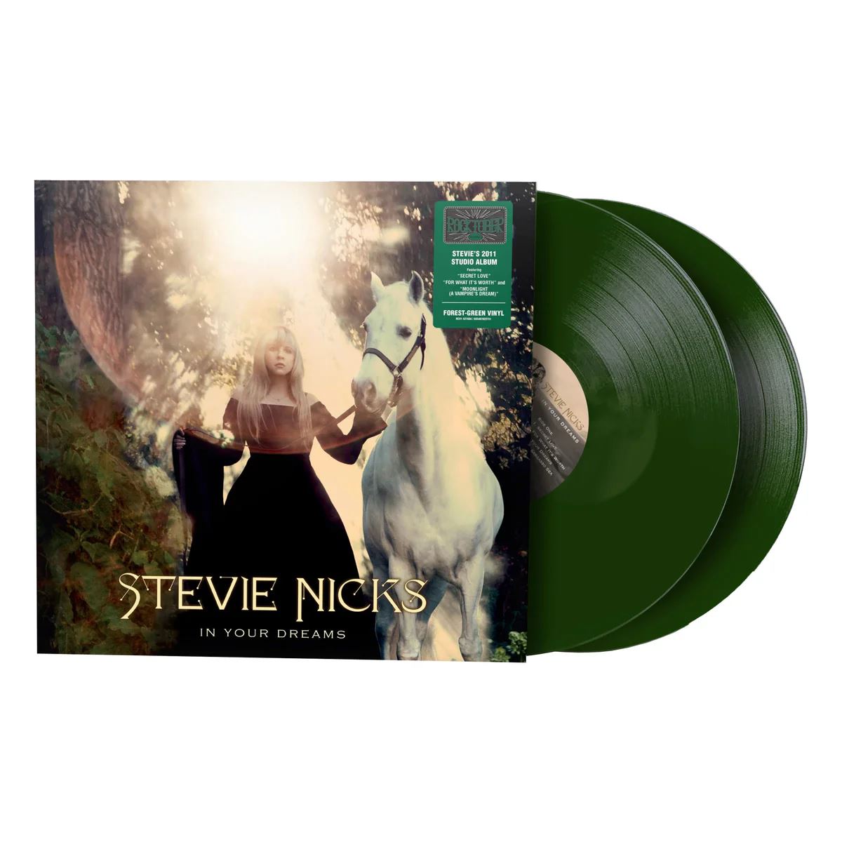 Stevie Nicks – In Your Dreams