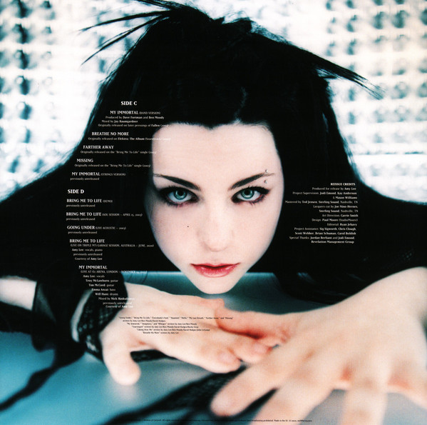 Evanescence – Fallen